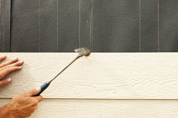 Best Stucco Siding  in La Grange, IL